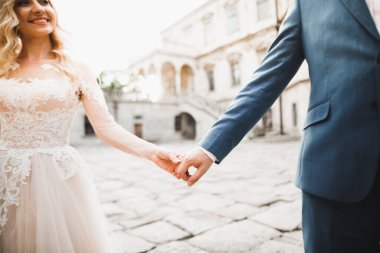 Düğün günü el ele tutuşan çift, damat ve gelin.