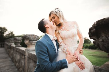 Romantik düğün anı, yeni evli çiftin gülümseyen portresi, gelin ve damadın kucaklaşması