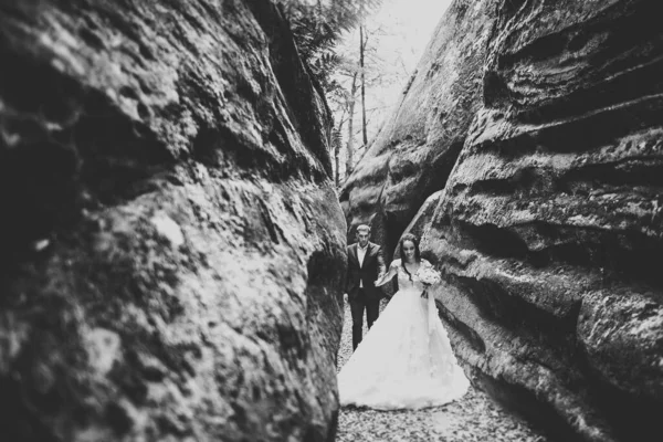 Pareja feliz boda caminando en un parque botánico — Foto de Stock