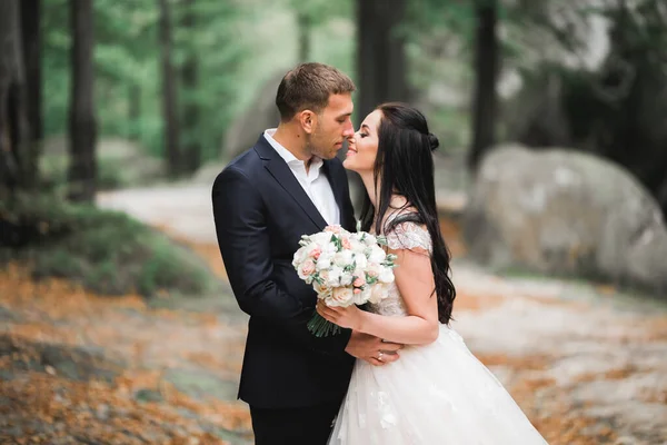 Beautiful bride and groom embracing and kissing on their wedding day outdoors — Stock Photo, Image