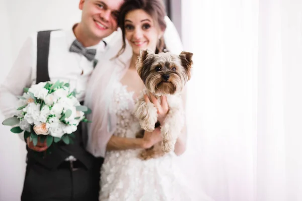 Romantikus esküvő pillanat, pár friss házasok mosolygós portré, menyasszony és vőlegény egy kutya — Stock Fotó