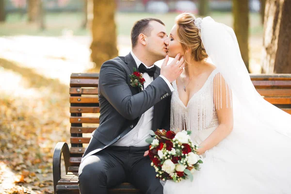 Beautiful bride and groom embracing and kissing on their wedding day — Stock Photo, Image