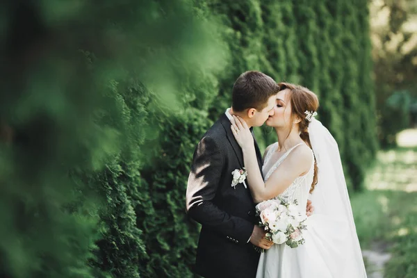 Belle mariée et marié embrasser et embrasser le jour de leur mariage à l'extérieur — Photo