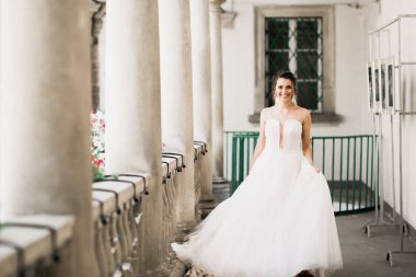 Gelinin güzel portresi moda gelinliği içinde tüylü, lüks makyaj ve saç stili.