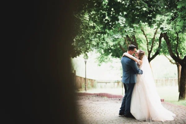 Casamento romântico momento, casal de recém-casados sorrindo retrato, noiva e noivo abraçando — Fotografia de Stock