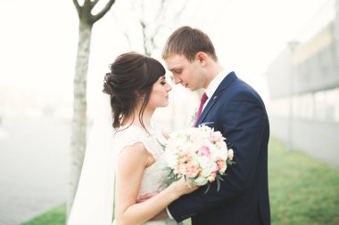 Lüks evli çift, gelin ve damat eski şehirde poz veriyor.