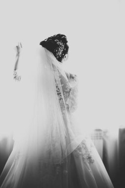 Tüylü, lüks makyaj, saç stili, stüdyo içi fotoğraf çekimi olan güzel bir gelin.