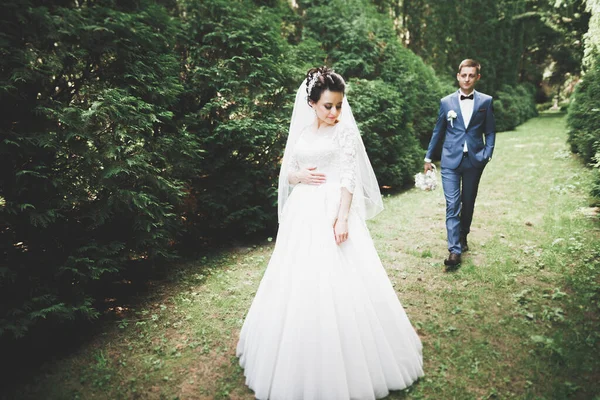 Gelukkig bruidspaar wandelen in een botanisch park — Stockfoto