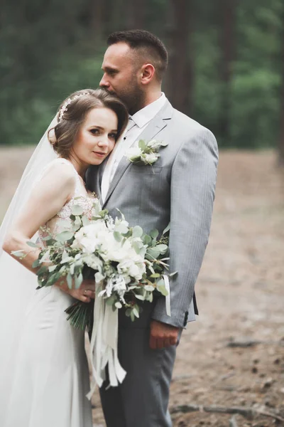 Schöne Braut und Bräutigam umarmen und küssen sich am Hochzeitstag — Stockfoto