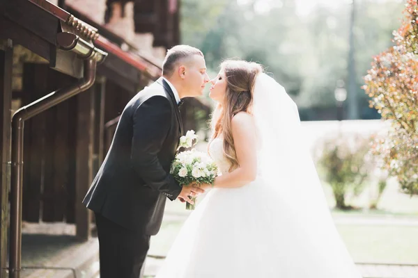 Casal feliz encantador do casamento, noiva com vestido branco longo — Fotografia de Stock