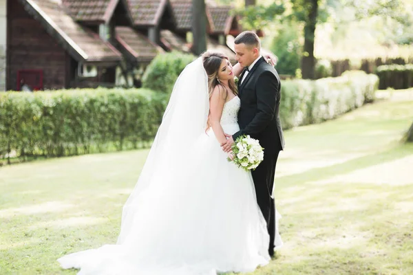 Preciosa pareja feliz boda, novia con vestido blanco largo —  Fotos de Stock
