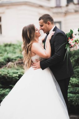 Lüks evli çift, gelin ve damat eski şehirde poz veriyor.