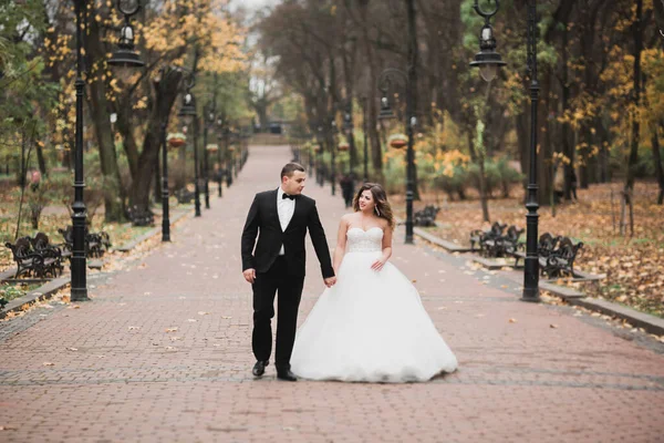 Casamento casal noiva e noivo de mãos dadas — Fotografia de Stock