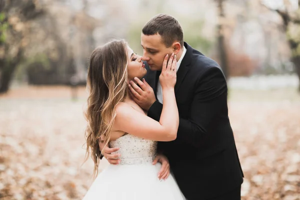 Romântico, conto de fadas, feliz casal recém-casado abraçando e beijando em um parque, árvores no fundo — Fotografia de Stock