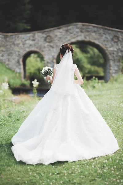 Schöne Luxusbraut im eleganten weißen Kleid — Stockfoto