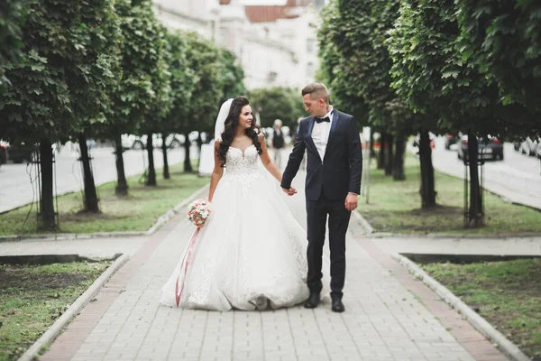 Härligt lyckligt bröllop par, brud med lång vit klänning — Stockfoto