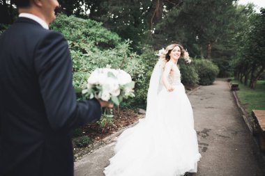 Romantik, peri masalı, mutlu yeni evli çift parkta sarılıp öpüşüyor, arka planda ağaçlar...