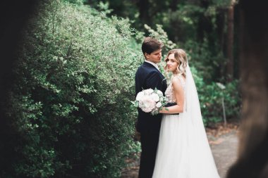 Romantik, peri masalı, mutlu yeni evli çift parkta sarılıp öpüşüyor, arka planda ağaçlar...