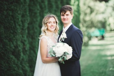 Romantik, peri masalı, mutlu yeni evli çift parkta sarılıp öpüşüyor, arka planda ağaçlar...