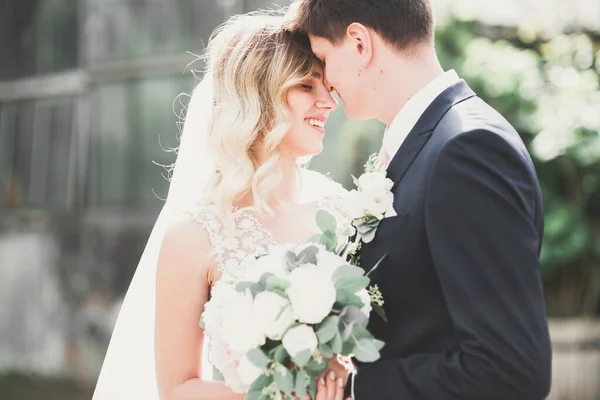 Romántico, cuento de hadas, feliz pareja recién casada abrazándose y besándose en un parque, árboles en el fondo —  Fotos de Stock