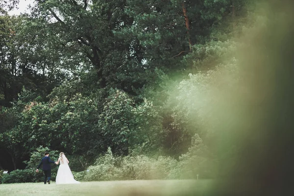 Romantis, dongeng, pasangan pengantin baru yang bahagia memeluk dan mencium di taman, pohon di latar belakang — Stok Foto