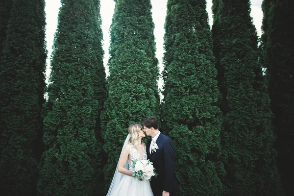 Романтическая, сказочная, счастливая молодожёны обнимаются и целуются в парке, деревья на заднем плане — стоковое фото
