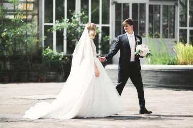 Romantik, peri masalı, mutlu yeni evli çift parkta sarılıp öpüşüyor, arka planda ağaçlar...