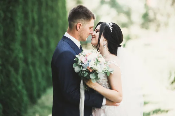 Glückliches Hochzeitspaar beim Spaziergang in einem botanischen Park — Stockfoto