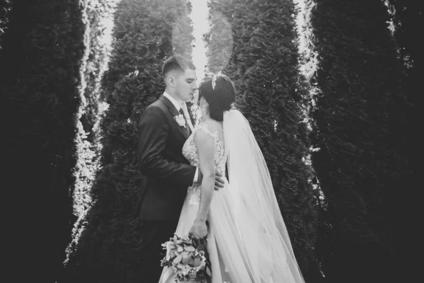 Happy wedding couple walking in a botanical park — Stock Photo, Image