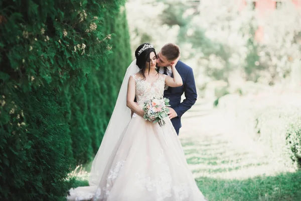 Romântico, conto de fadas, feliz casal recém-casado abraçando e beijando em um parque, árvores no fundo — Fotografia de Stock