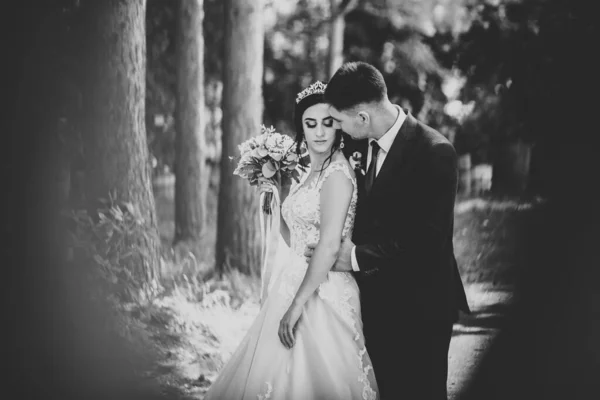 Romantisch, sprookje, gelukkig pasgetrouwd stel knuffelen en kussen in een park, bomen op de achtergrond — Stockfoto