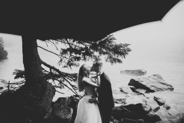 Bahar mevsiminde öpüşen düğün çifti. Yakın plan portre.