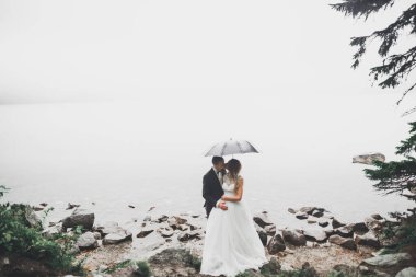 Mutlu evlilik çifti güzel manzarada kalıyor.