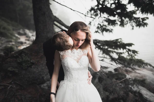 Perfektes Paar Braut, Bräutigam posiert und küsst sich am Hochzeitstag — Stockfoto