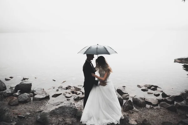 Kissing wedding couple staying over beautiful landscape — Stock Photo, Image