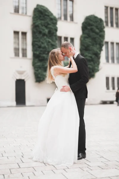 Wedding couple bride and groom holding hands — Stock Photo, Image