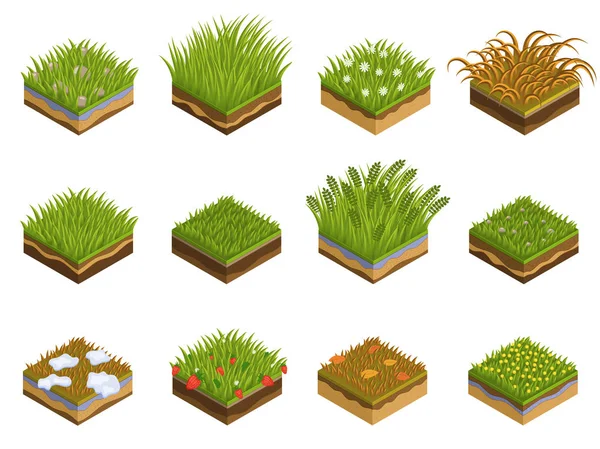 Grass and soil layers isometric — Stock Vector