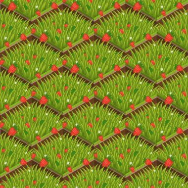 Yaz otu, toprak tabakaları deseni