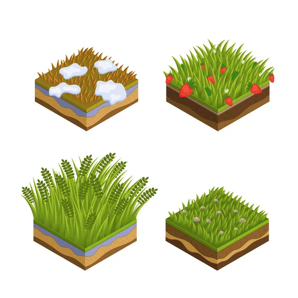 Trawa, warstwy płytek glebowych izometrycznych — Wektor stockowy