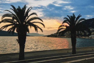 Palmiye ağaçları ve plaj günbatımı Neum, Bosna Hersek için sırasında