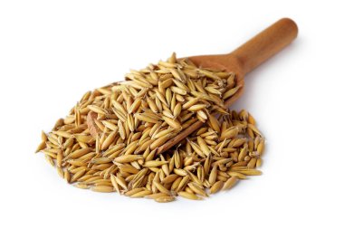 Yulaf tohumu (Avena sativa) olarak da bilinen ahşap kepçe ortak yulaf beyaz arka plan üzerinde izole.