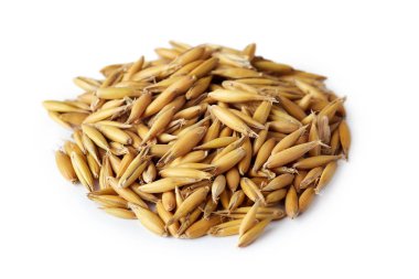 Yulaf tohumu (Avena sativa) olarak da bilinen ortak yulaf beyaz arka plan üzerinde izole.