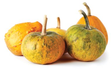 Beyaz arka plan üzerinde izole organik çiğ mini kabaklar