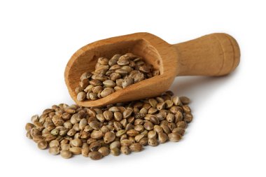 Beyaz arka planda izole edilmiş ahşap kepçe içindeki organik kenevir tohumları.