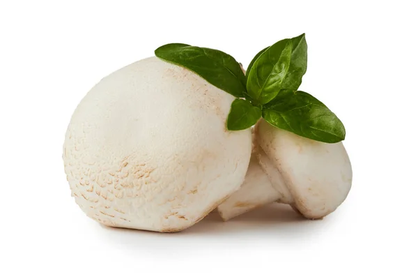 Surowe Organiczne Grzyby Champignon Agaricus Bisporus Izolowane Białym Tle — Zdjęcie stockowe