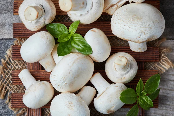 Champignon Bio Cru Agaricus Bisporus Vue Dessus — Photo