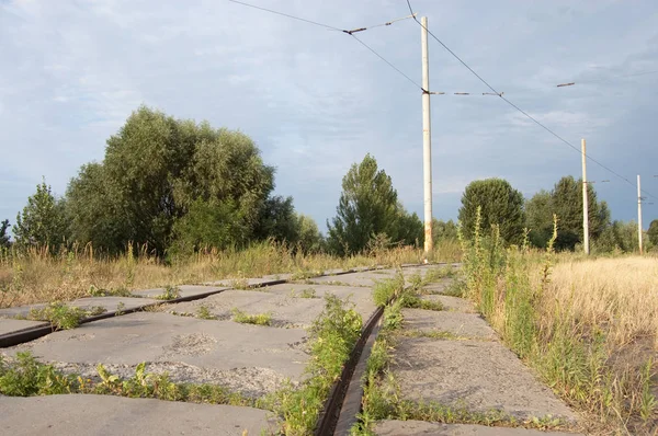 Train rails pass through the forest in summer