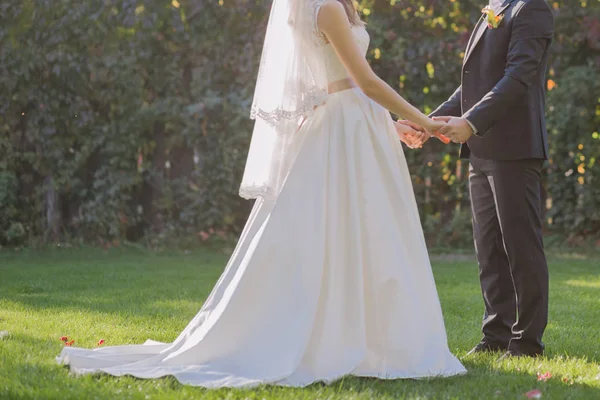 Gelin ve damat sonbahar çimleri üzerinde birlikte