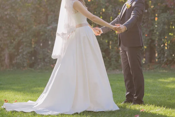 Braut und Bräutigam gemeinsam im Herbst auf der Wiese — Stockfoto
