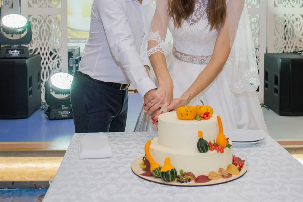 新郎新婦がテーブルの上の結婚式ケーキをカット — ストック写真